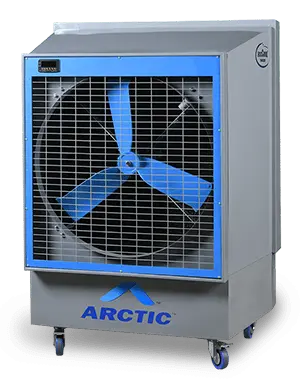 yes arctic